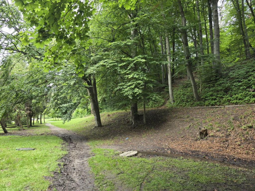 Парк Погулянка у Львові: Зелена Перлина Міста