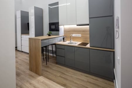 Kitchen with a breakfast bar, grey units and dishwasher in the studio apartment on Doroshenka Street
