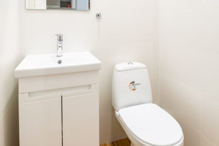 Separate toilet with a washbasin in the apartment on Krakivska Street