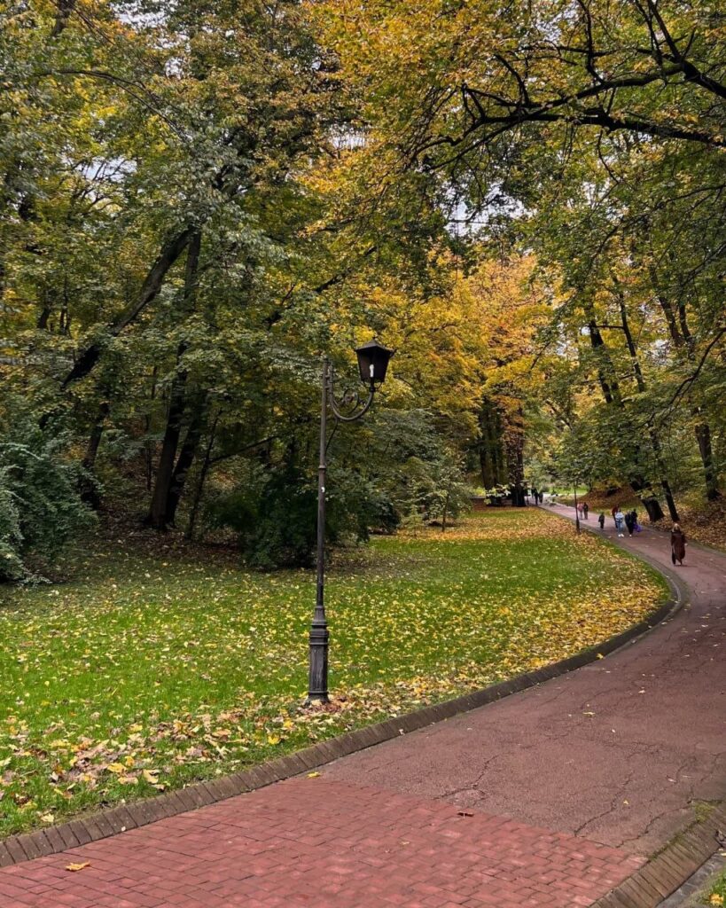 Звивиста доріжка з ліхтарем серед дерев у Стрийському парку у Львові