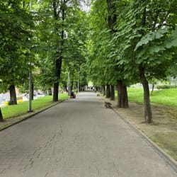 Каштанова алея в парку «На Валах» у Львові
