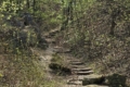 Znesinnia Regional Landscape Park