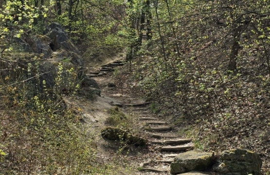 Regionalний Park Krajobrazowy "Zniesienie"